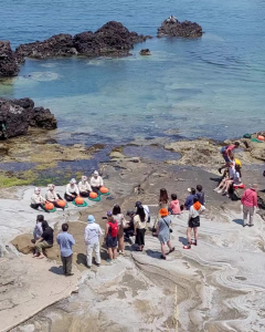 Haenyo chantant pour les touristes sur l'île de Jeju