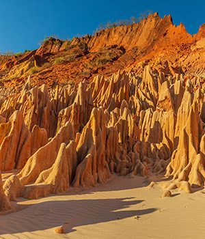 vignet_Madagascar2