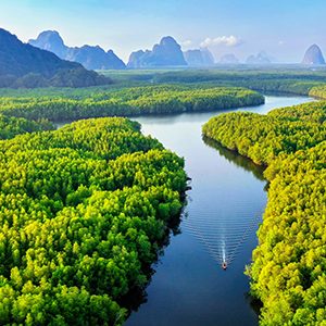 vignet_thailande5